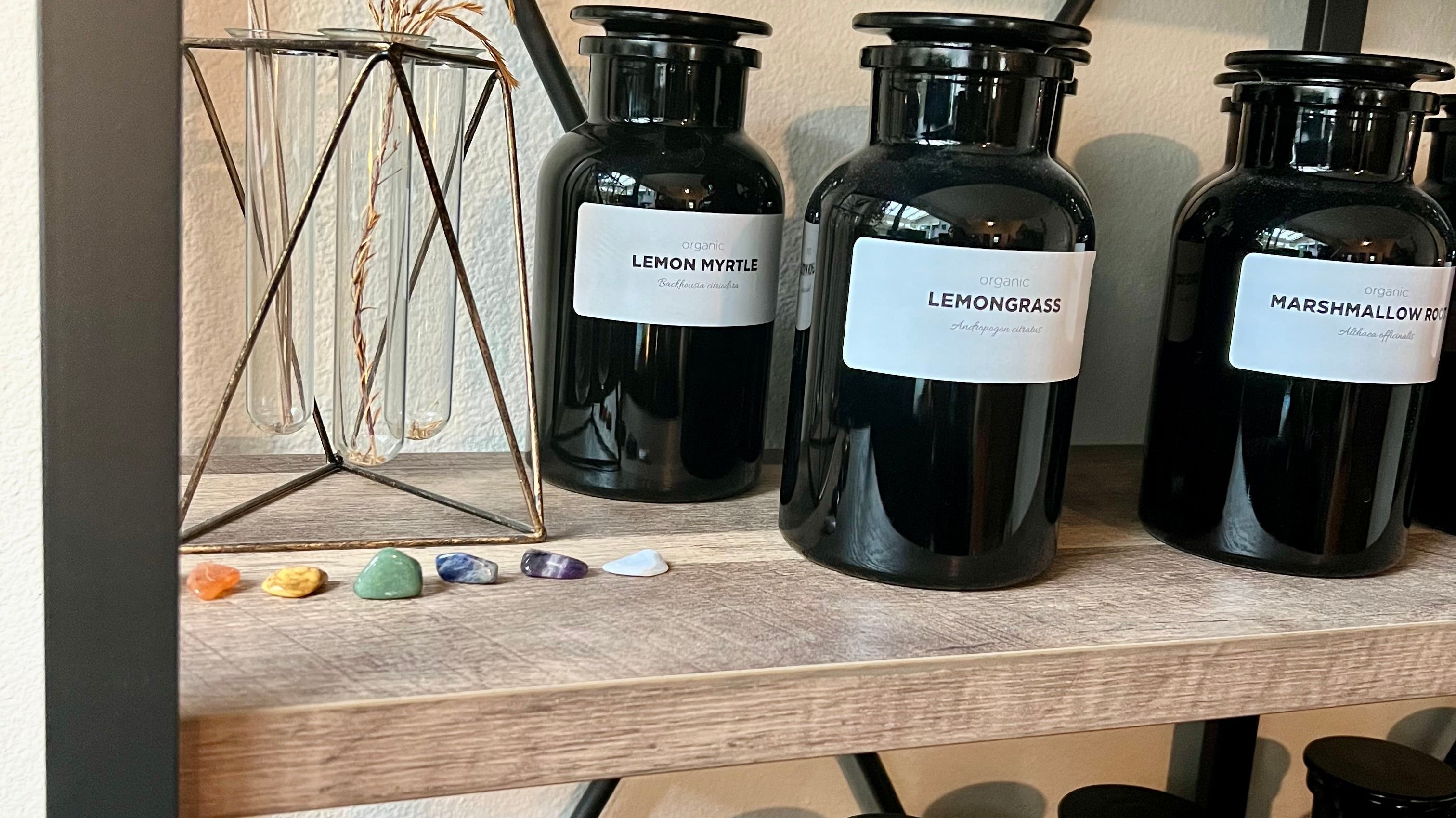 How To Store and Preserve Medicinal Herbs for Potency