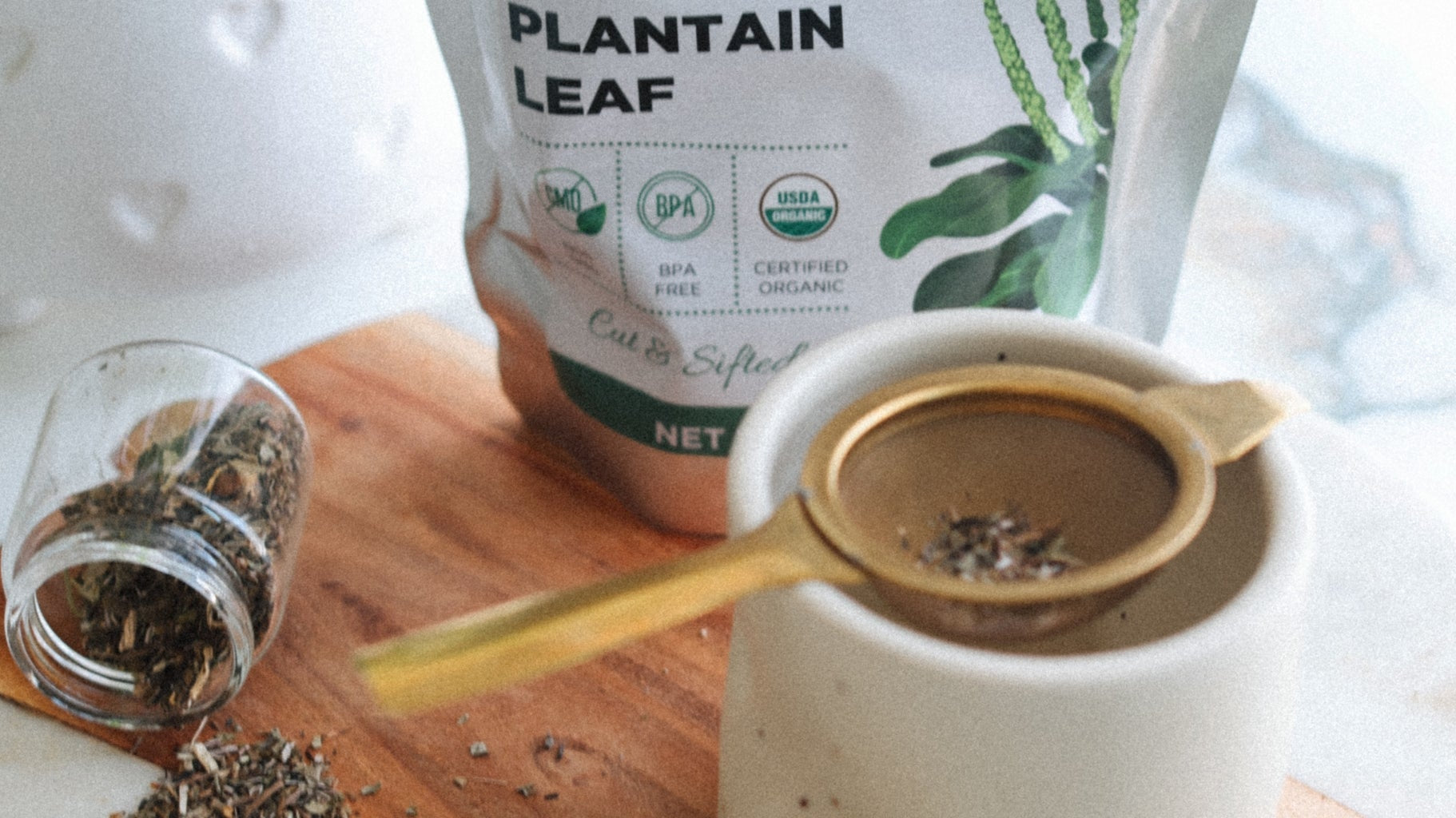 Plantain Leaf: How To Use This Common Plant for Respiratory, Skin, and Digestive Health