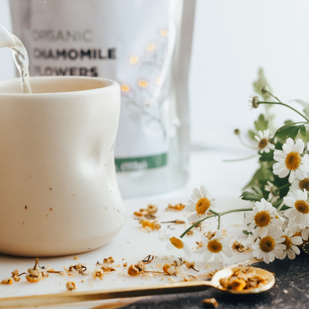 White mug being filled with a chamomile tea, surrounded by dried flowers and a spoon on a light surface.