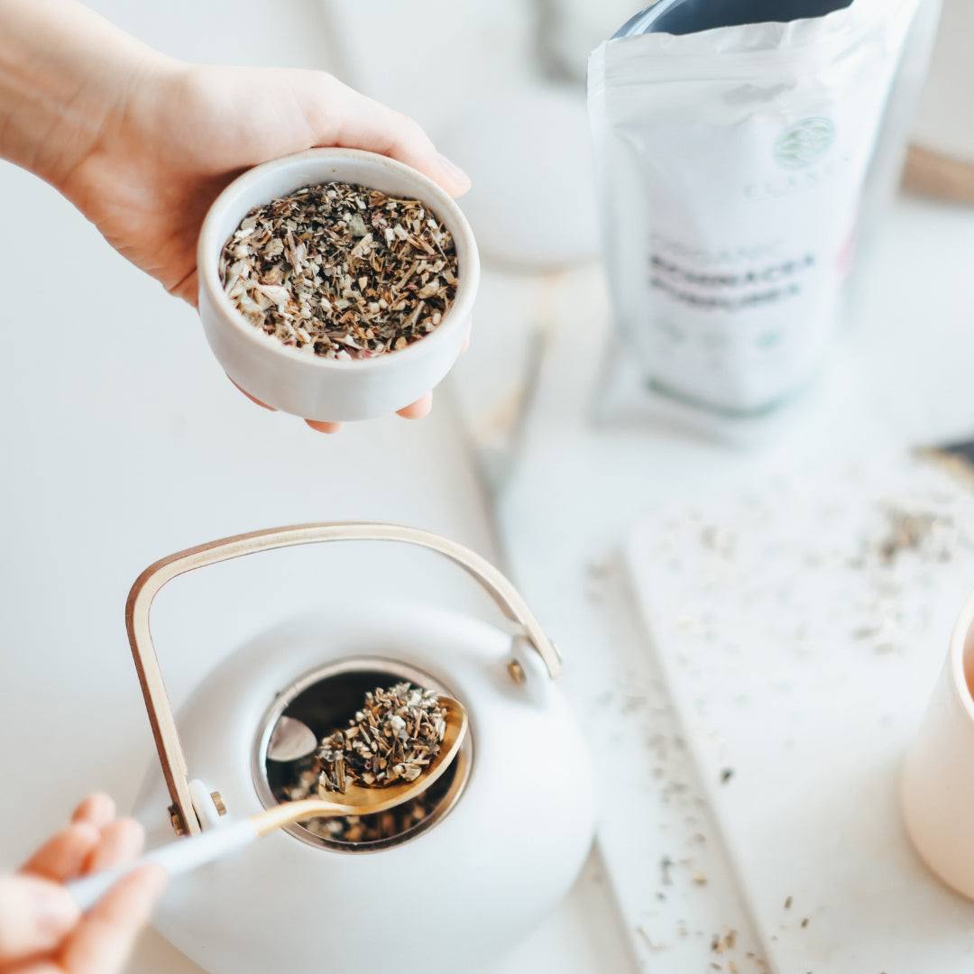 Person holding a bowl of echinacea purpurea with a teapot and loose echinacea purpurea on a light surface.