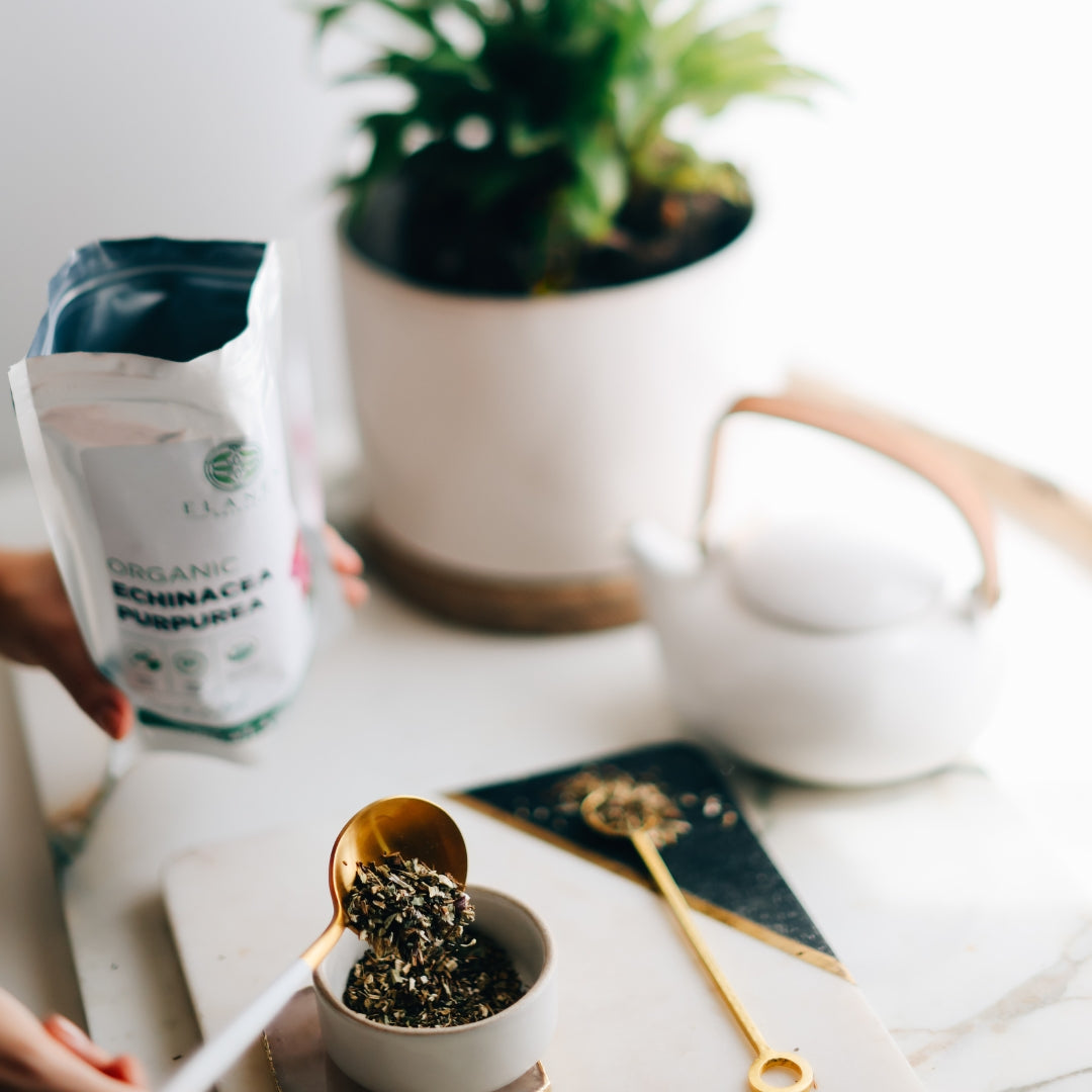Tea-making setup with a teapot, echinacea purpurea, and packaging on a white surface.