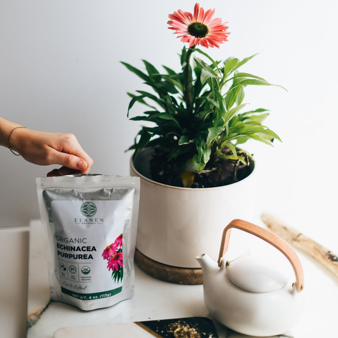 Hand holding a package of Elaken Organic Echinacea Purpurea next to a potted plant and teapot on a table.