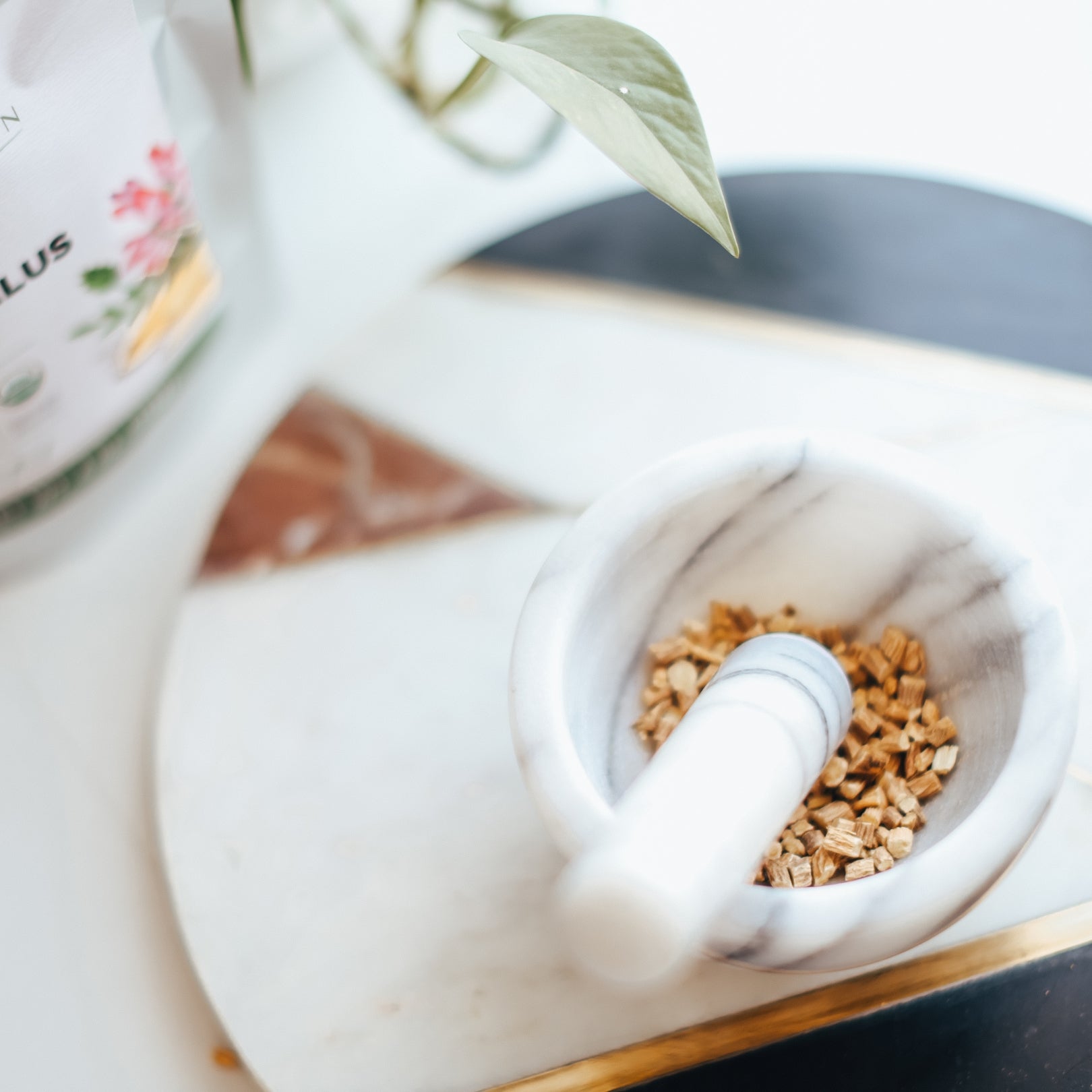 White ceramic mortar and pestle with astragalus root on a wooden surface