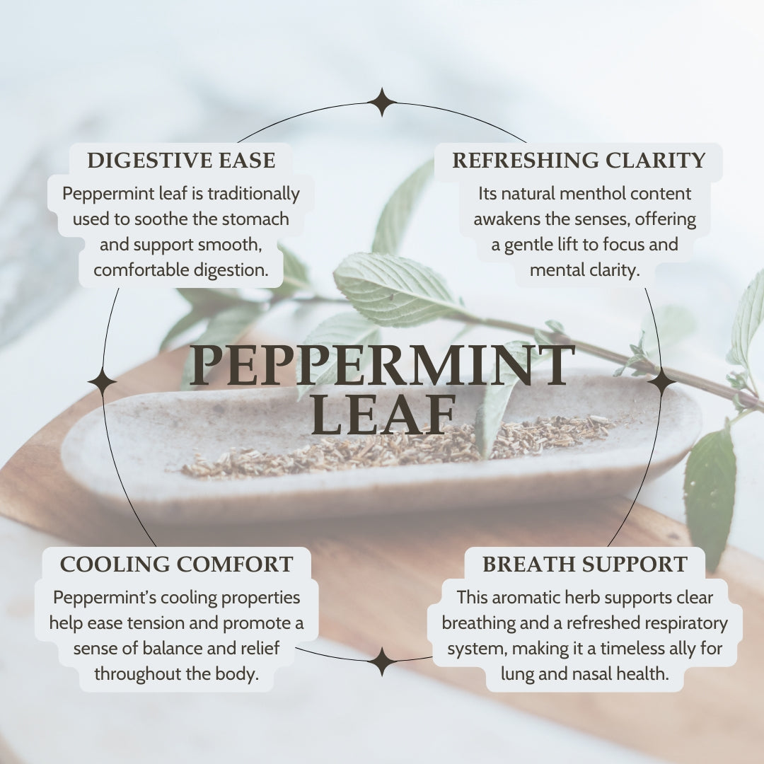 Infographic about peppermint leaf with text on its benefits.