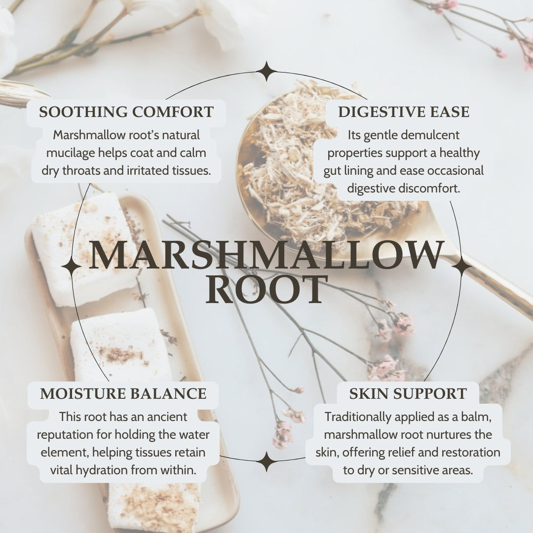 Infographic about marshmallow root with text on benefits and images of marshmallow root and marshmallows.
