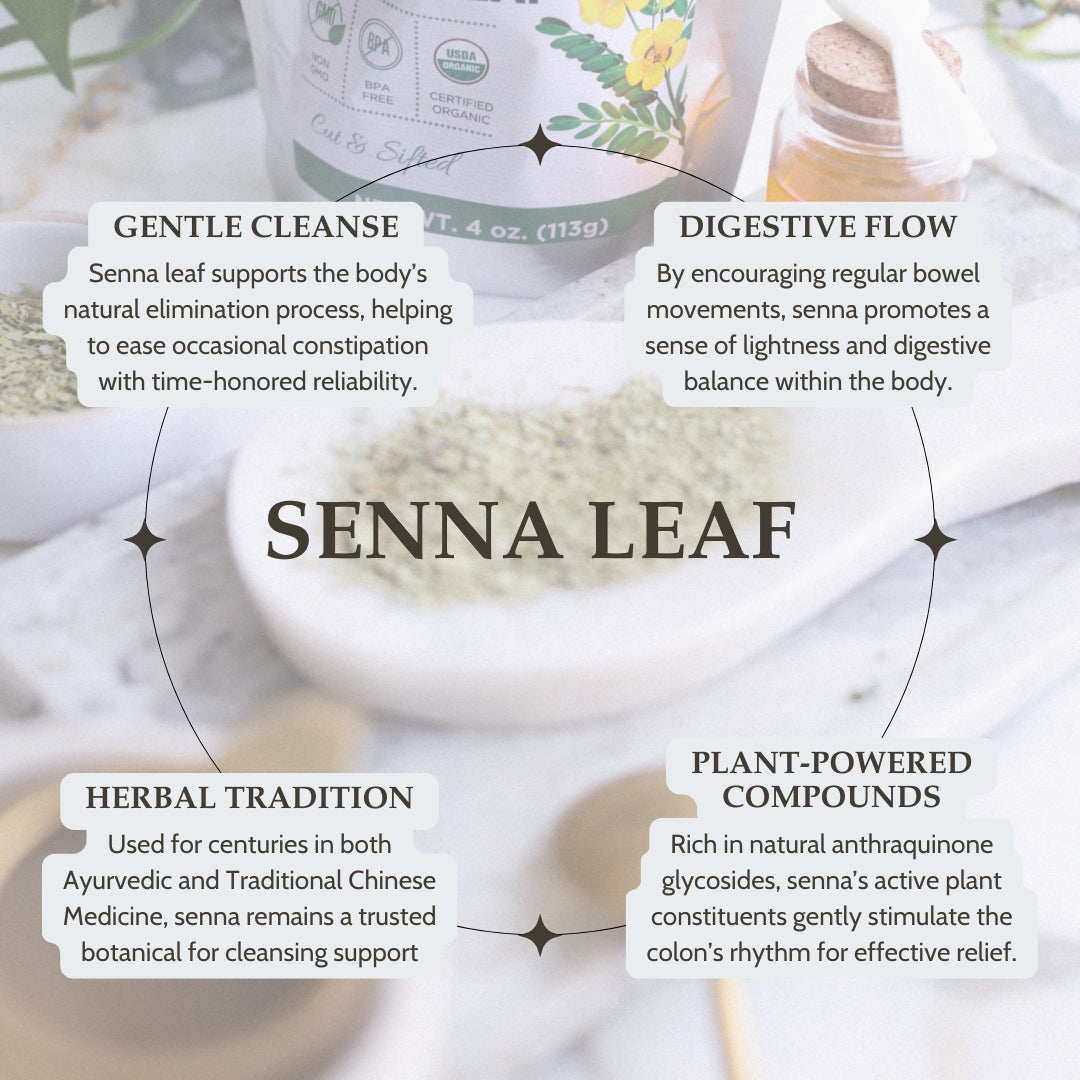 Infographic about senna leaf with text and product image on a white background