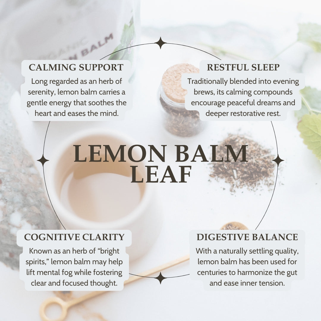 Lemon balm leaf with text on calming support, restful sleep, cognitive clarity, and digestive balance.