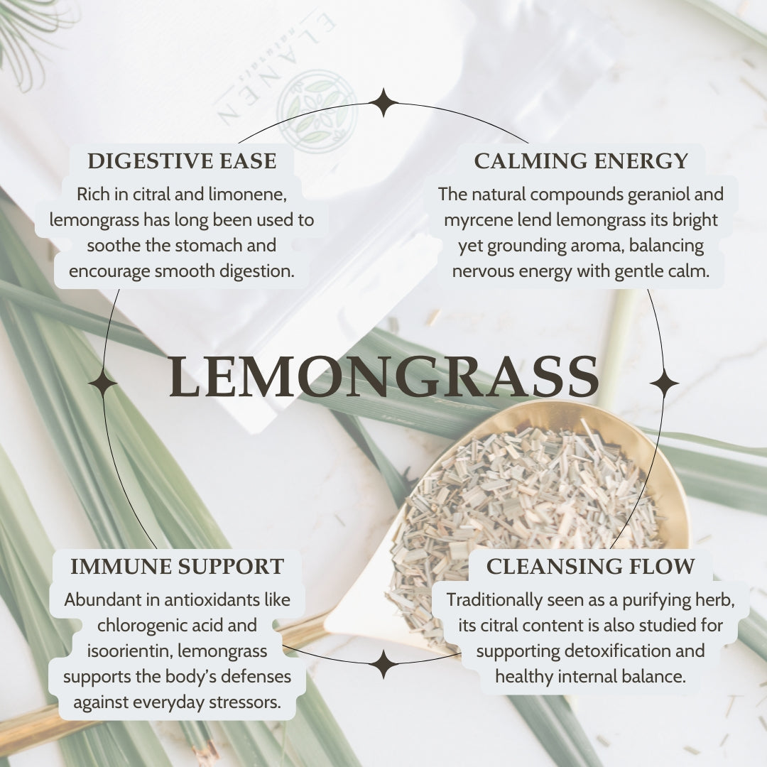 Infographic about lemongrass with text on digestive ease, calming energy, immune support, and cleansing flow.
