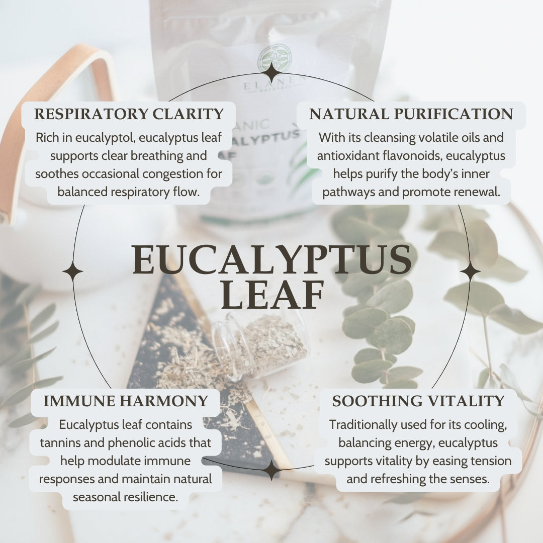 Eucalyptus leaf product with text on respiratory clarity, natural purification, immune harmony, and soothing vitality.