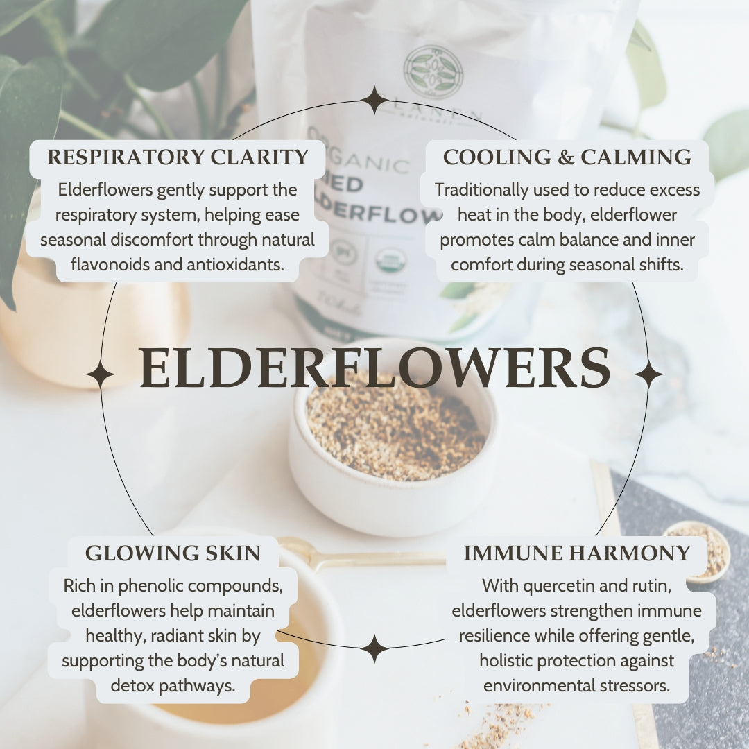 Infographic about the benefits of elderflowers with text and images on a white background.