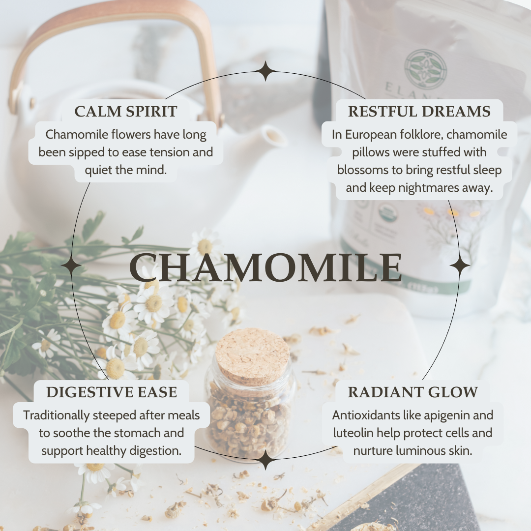 Chamomile-themed infographic with text about its benefits and uses.