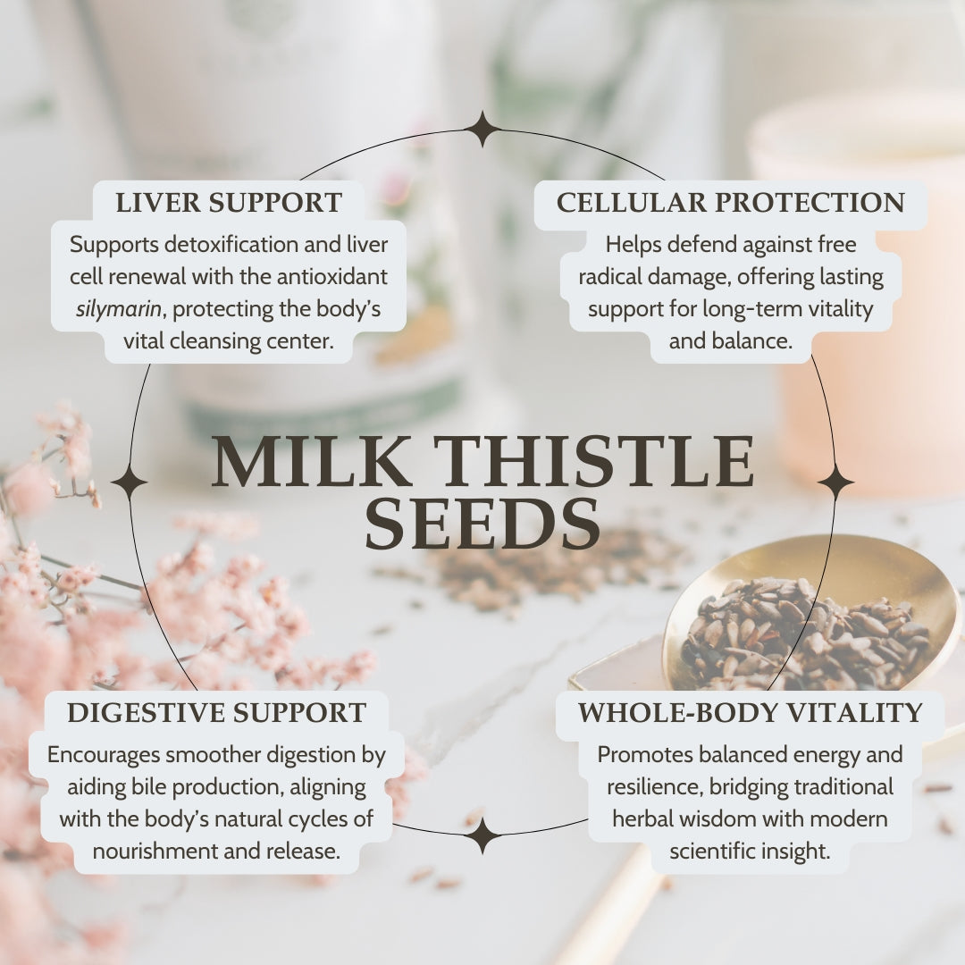 Infographic about the benefits of milk thistle seeds with text and images on a light background.