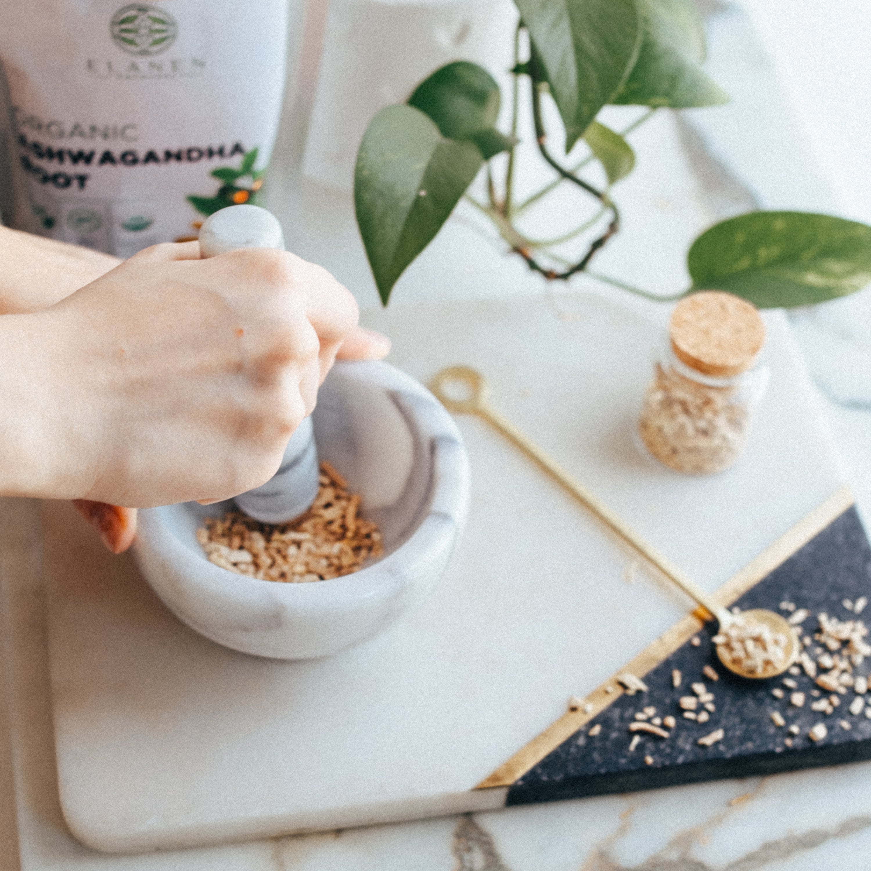 Person using a mortar and pestle on ashwagandha root on a marble surface with a plant and bottle in the background