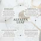 Infographic about the benefits of alfalfa leaf on a white background with text and minimal design elements.