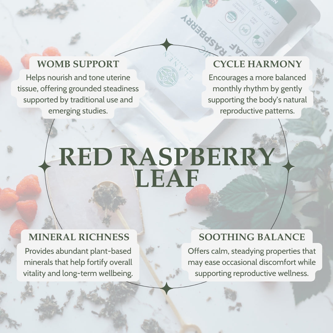 Red raspberry leaf infographic with text on womb support, cycle harmony, mineral richness, and soothing balance.