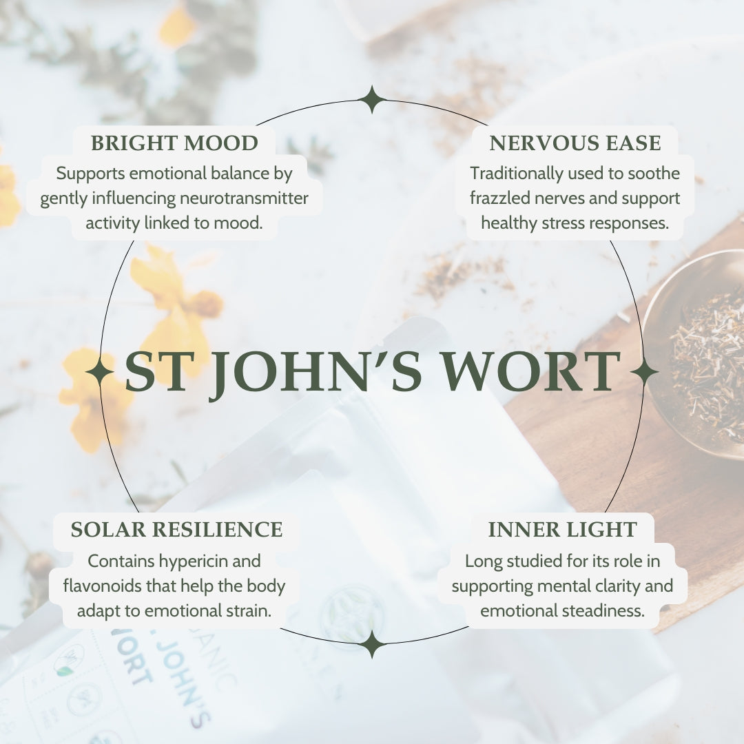 Informational graphic about St. John's Wort with text on benefits and uses.