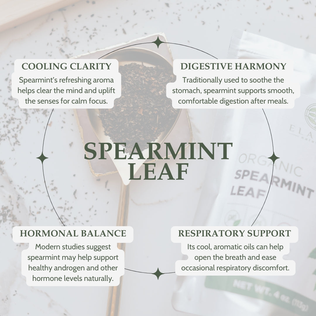 Spearmint leaf packaging with text on health benefits on a textured background