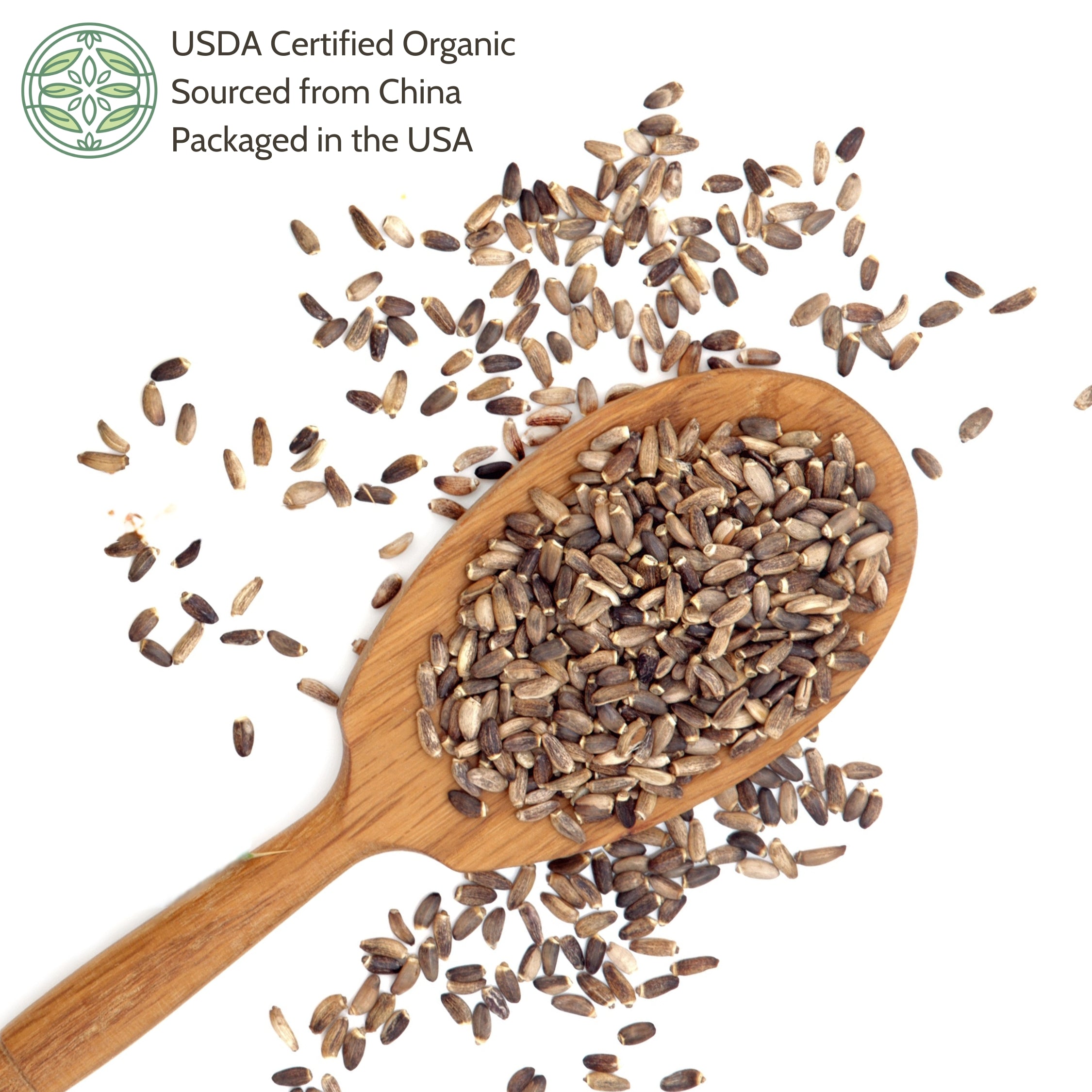 Wooden spoon filled with milk thistle seeds.