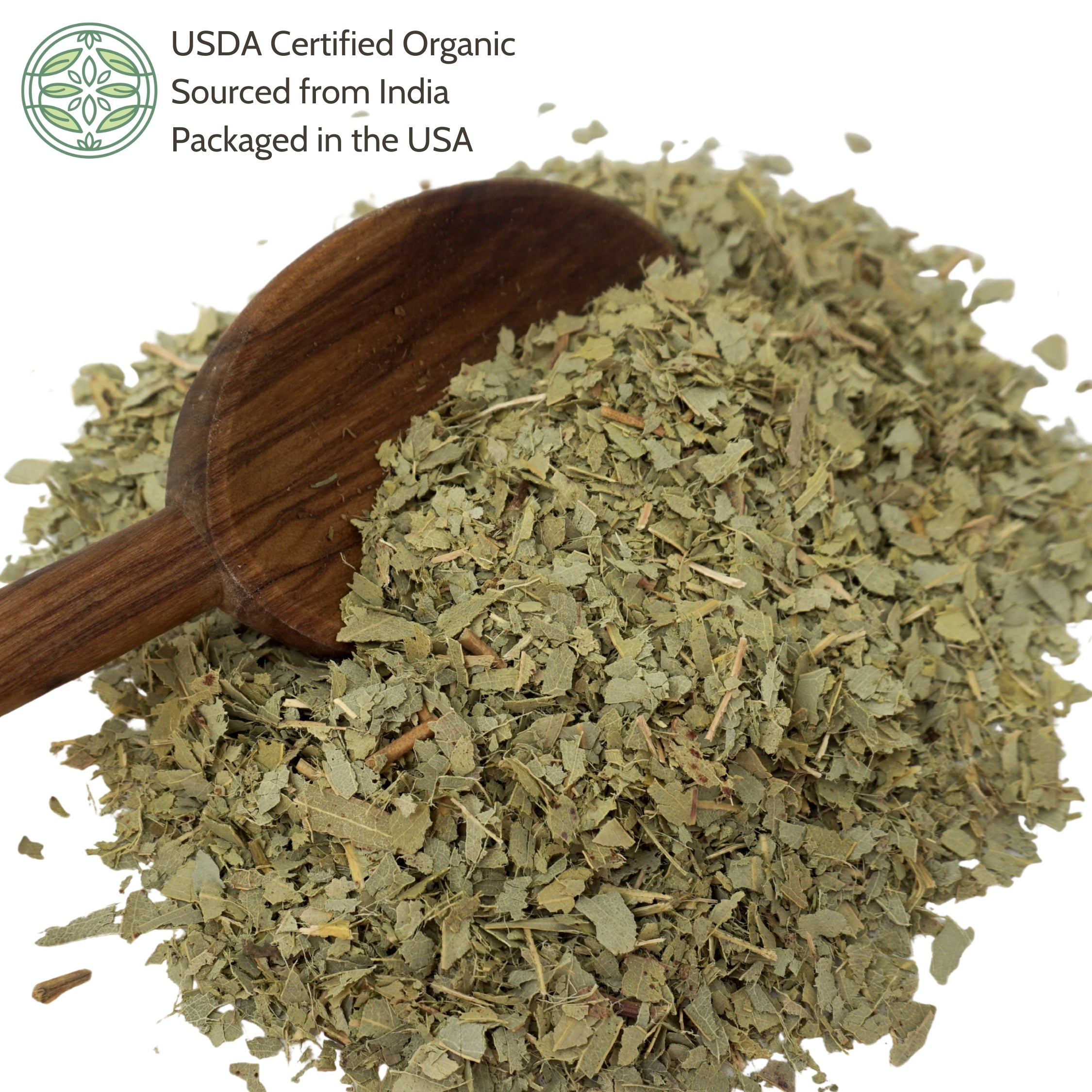 Dried senna with a wooden spoon on a white background