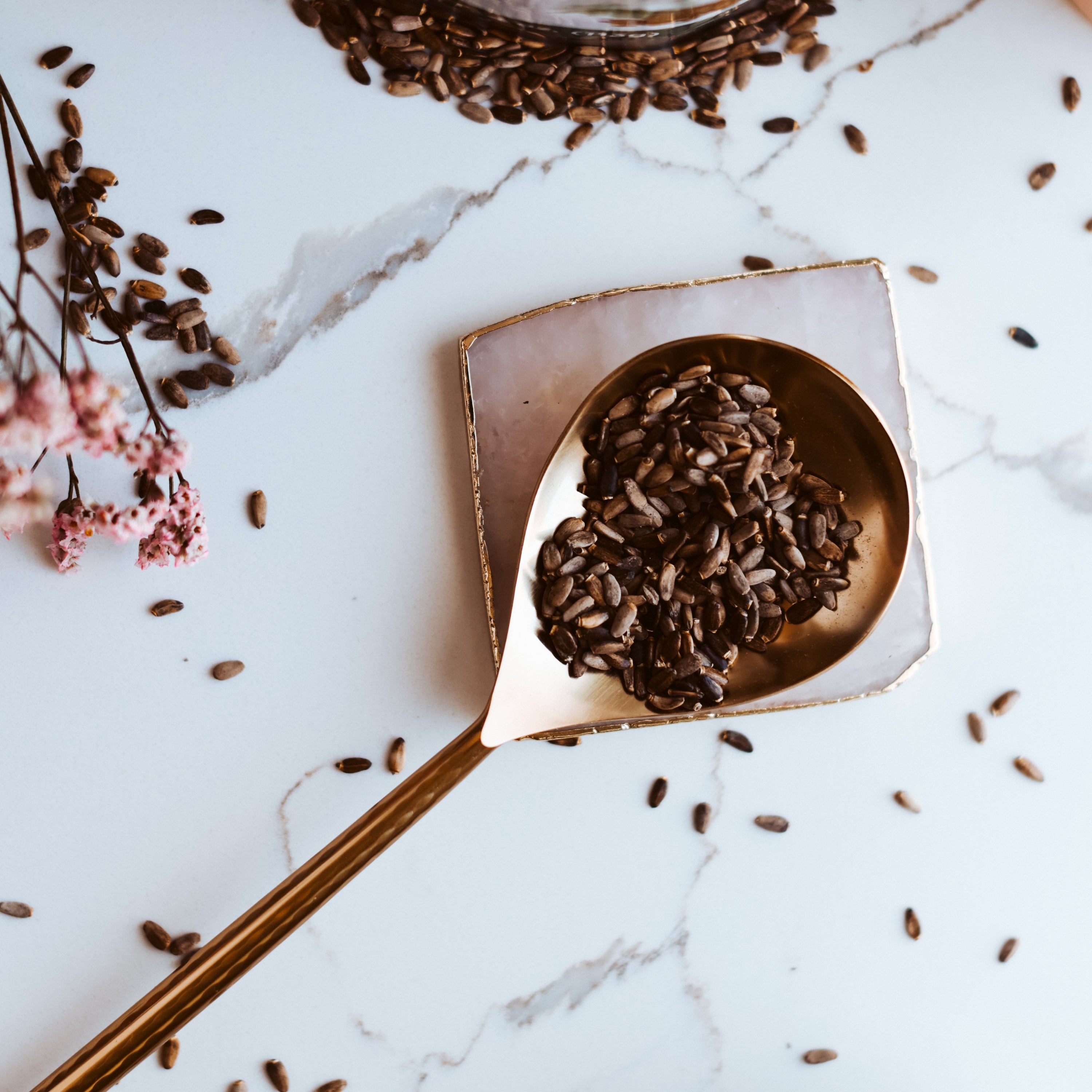 Gold spoon filled with milk thistle seeds on a marble surface with scattered seeds.
