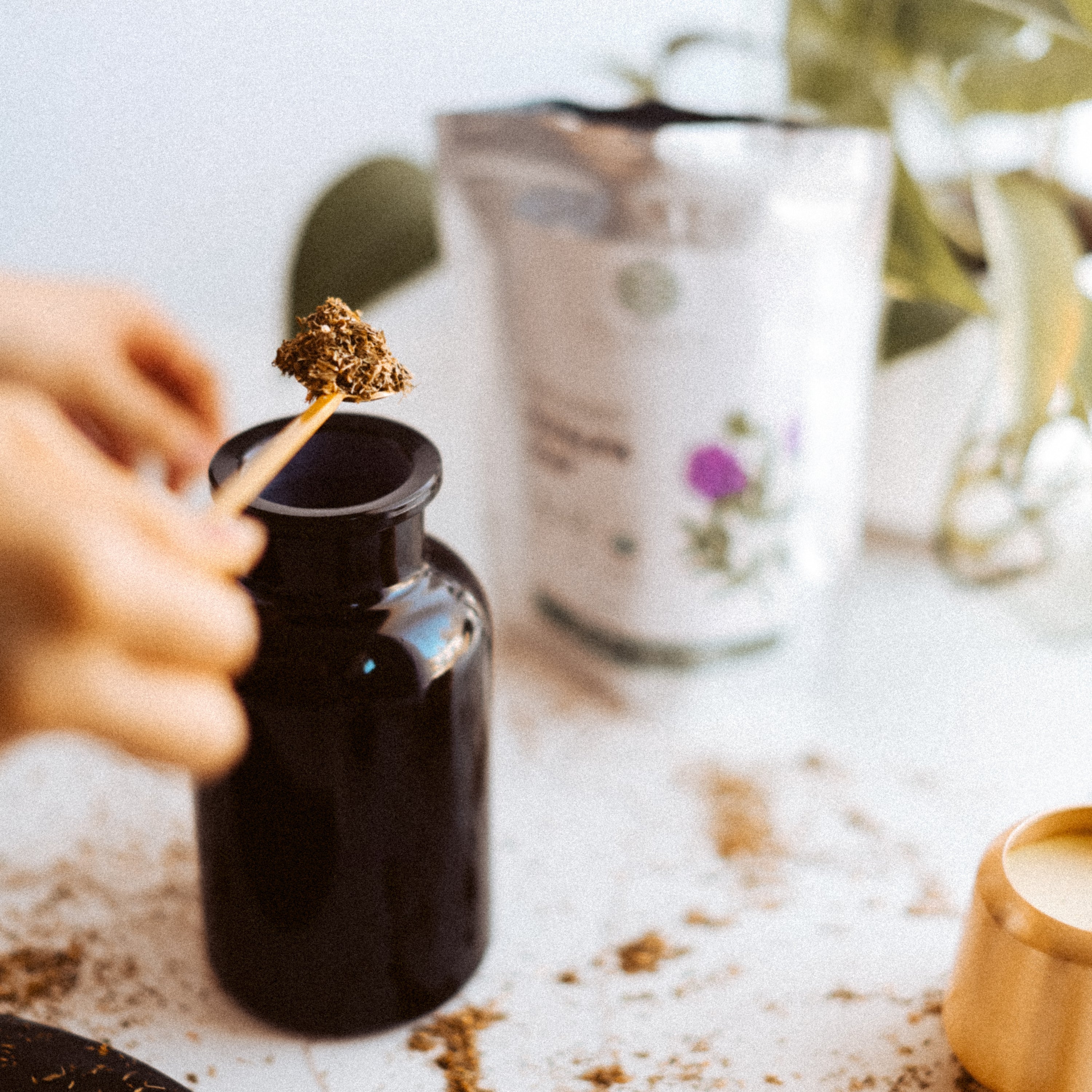 Person using a black bottle with a gold spoon scooping alfalfa leaf.