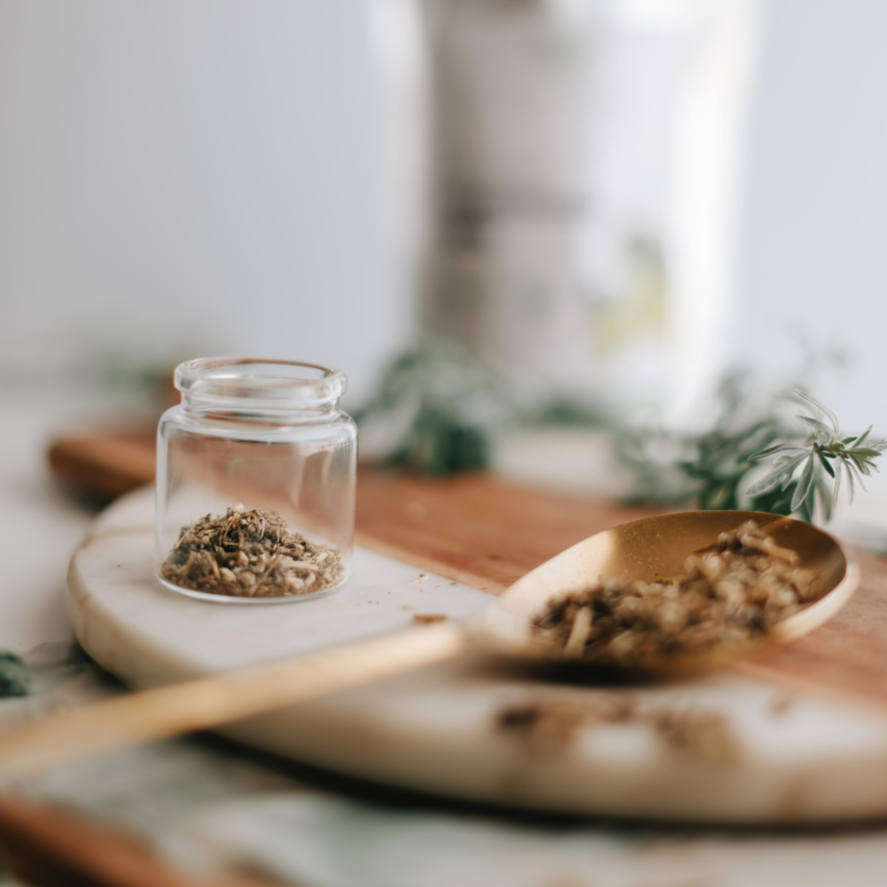 Clear jar with dried wormwood on a wooden spoon and plate, blurred background