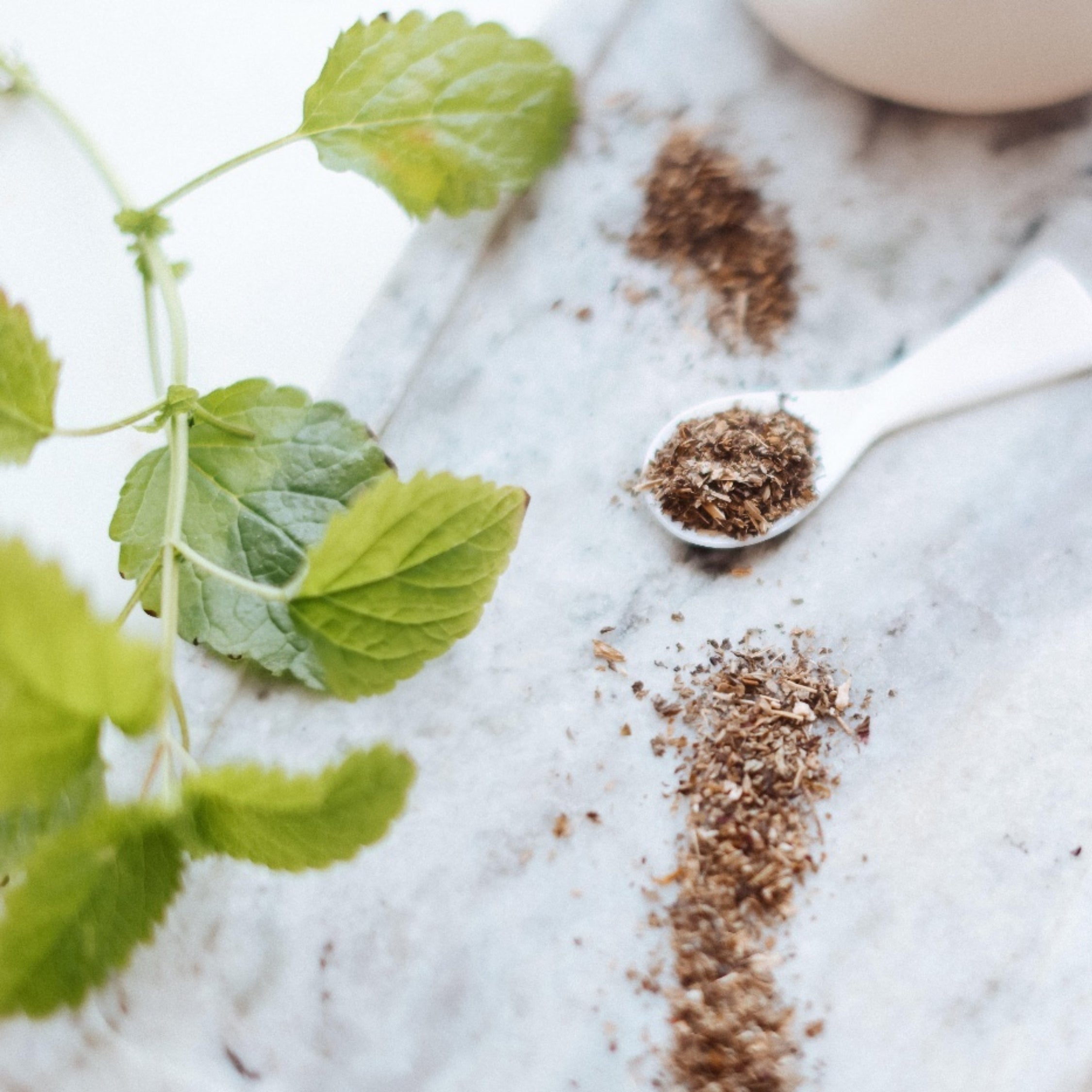 Herbs and a spoonful of dried lemon balm leaf on a marble surface