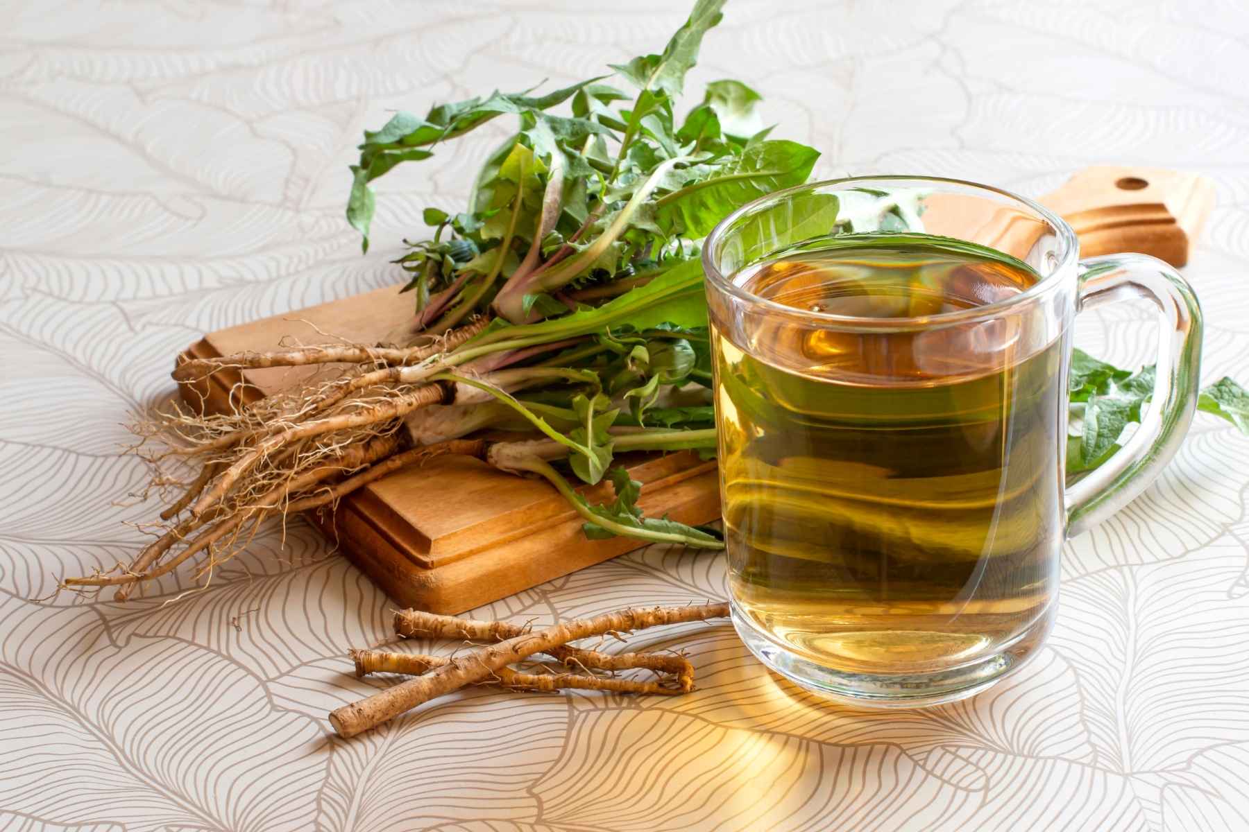 Spring Detox: Herbs to Support Your Body’s Natural Cleansing Process