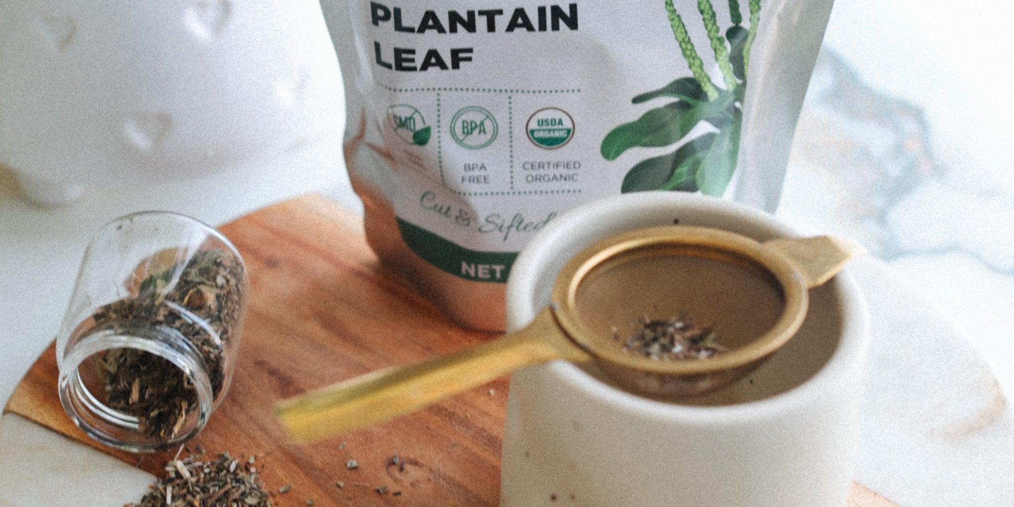 Plantain Leaf: How To Use This Common Plant for Respiratory, Skin, and Digestive Health