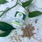 Supplement bottle labeled 'Restore the Spleen Formula' with capsules and leaves on a textured surface