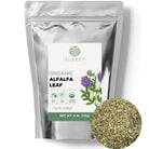 organic alfalfa leaf