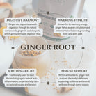 Ginger root product with text on digestive harmony, warming vitality, soothing relief, and immune support.