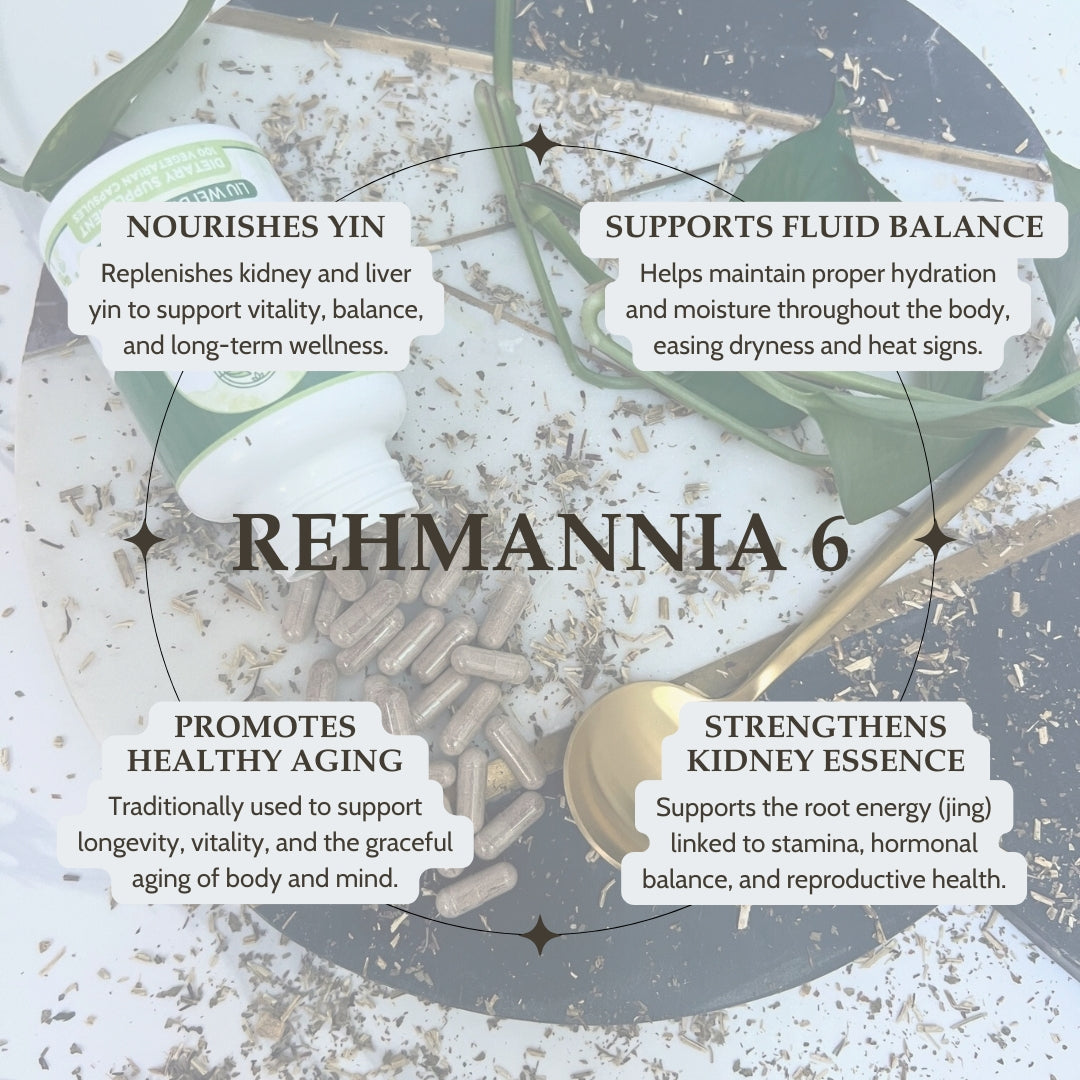 Rehmannia 6 herbal supplement with text on benefits on a textured background