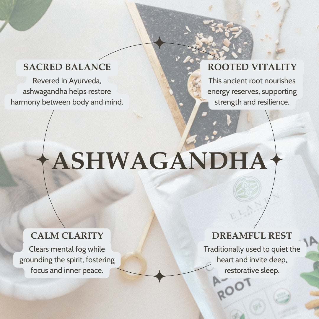 Promotional image of Ashwagandha with text on its benefits and uses.