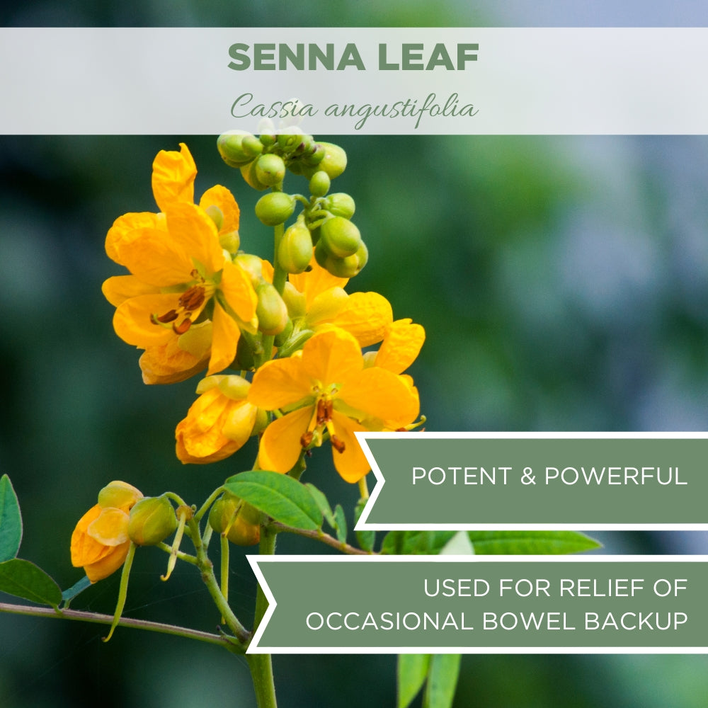 senna tea