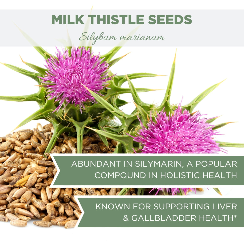 milk thistle seeds