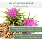 milk thistle seeds