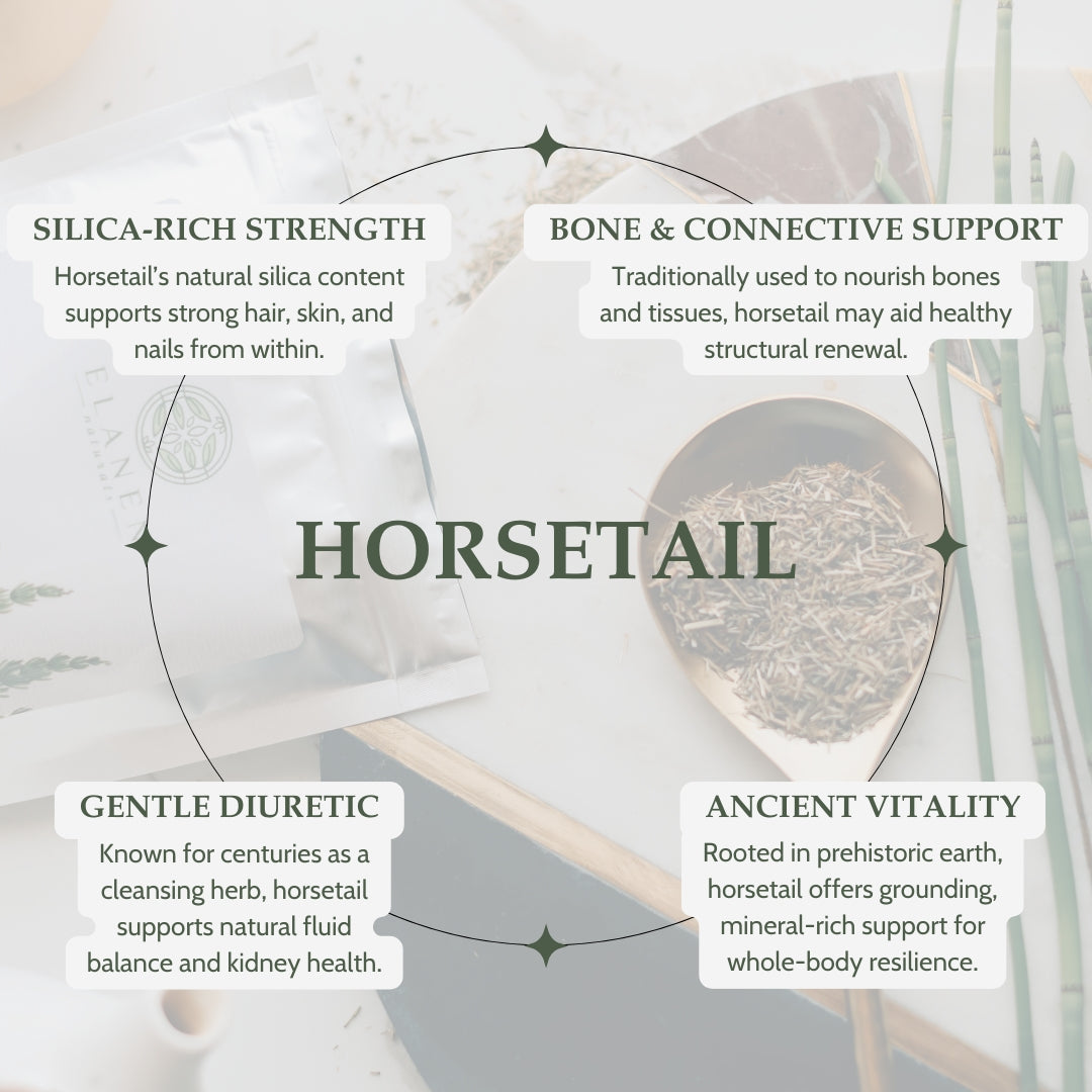 Infographic about horsetail benefits with text and a blurred image of horsetail plants.