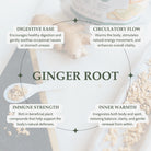 Infographic about the benefits of ginger root with text and images on a light background.