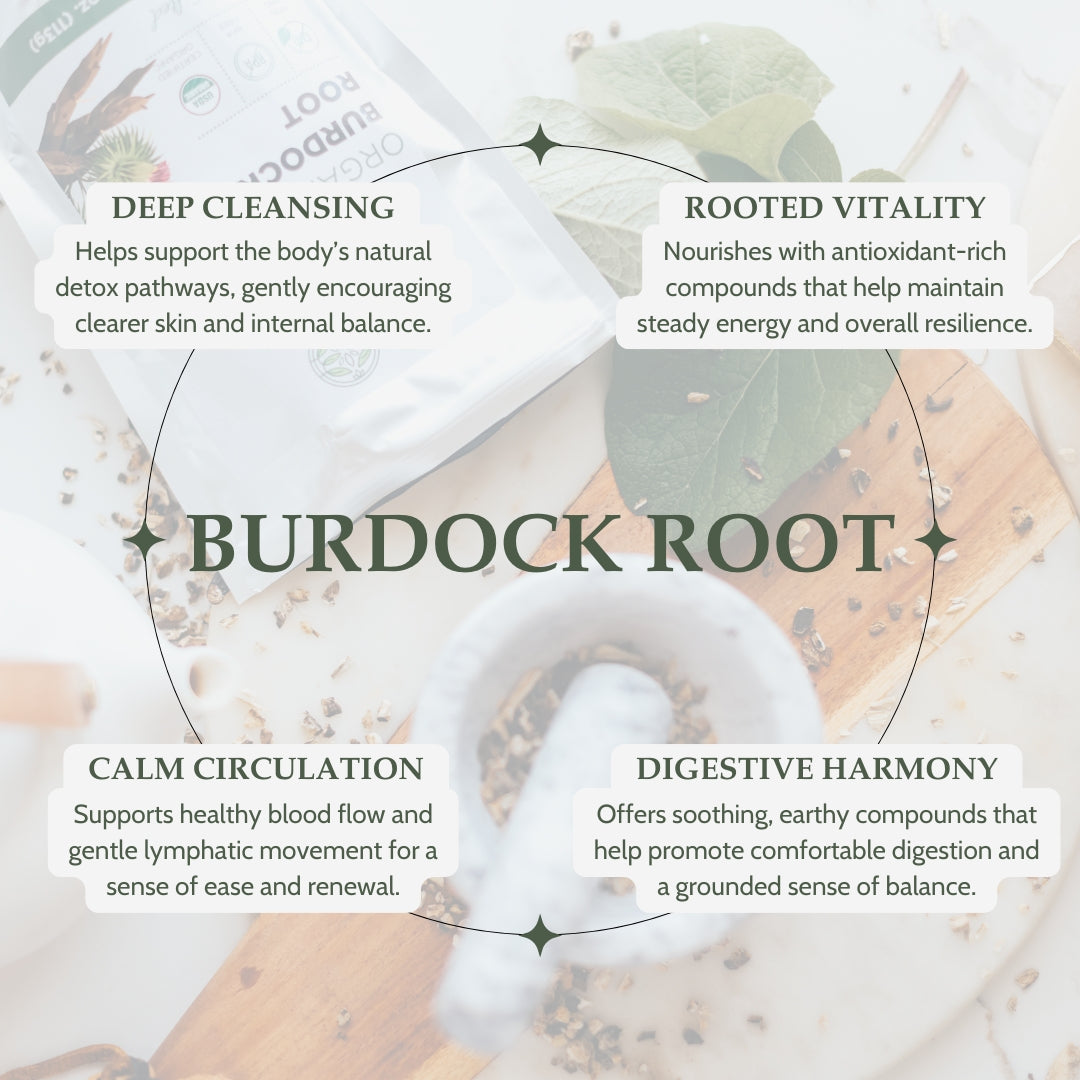 Infographic about the benefits of burdock root with text and images on a light background.