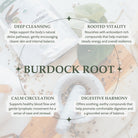 Infographic about the benefits of burdock root with text and images on a light background.