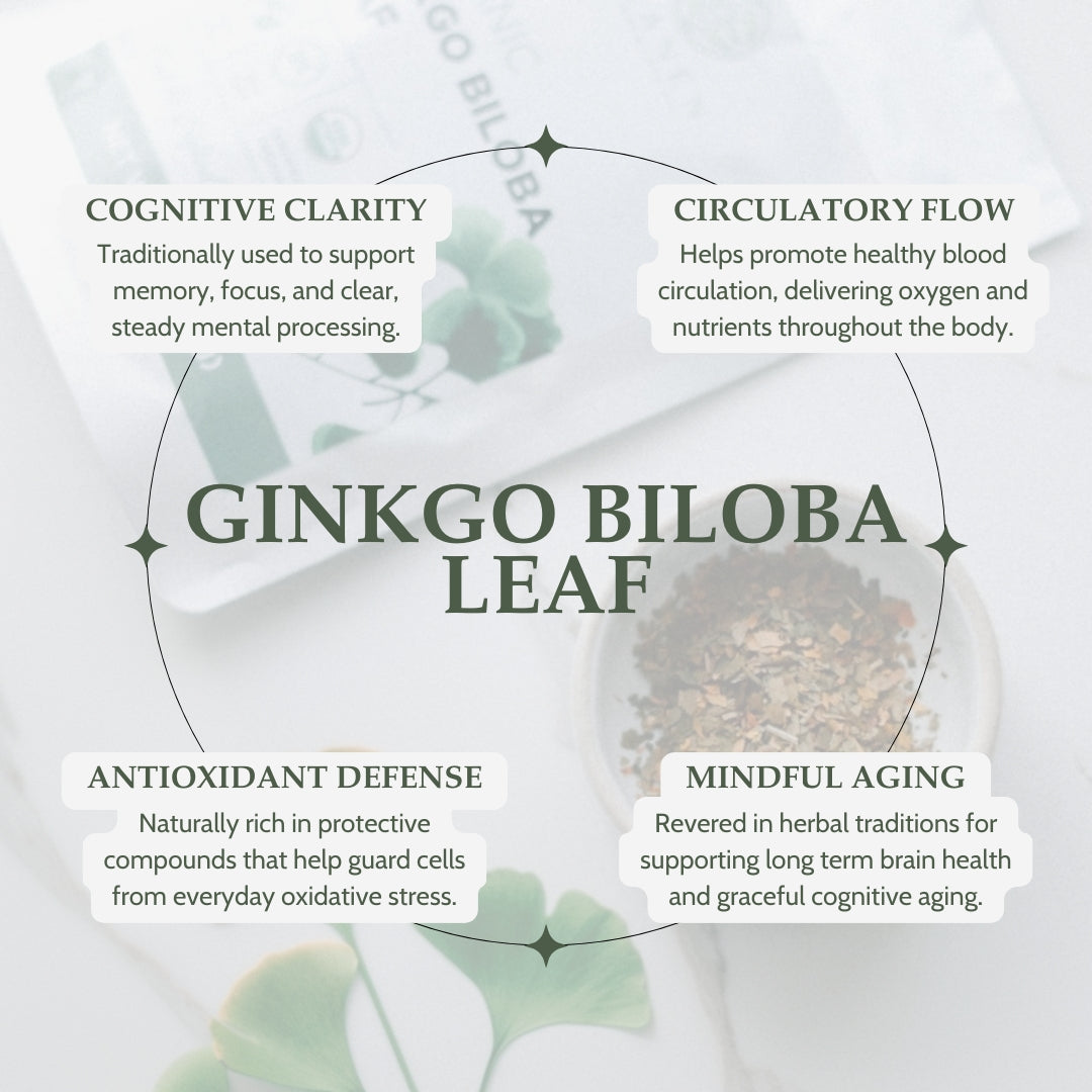 Ginkgo Biloba leaf with text highlighting its benefits on a light background