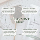 Spearmint leaf packaging with text on health benefits on a textured background