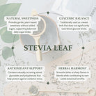 Stevia leaf with text highlighting its benefits on a light background