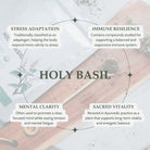 Infographic about the benefits of holy basil with text on stress adaptation, immune resilience, mental clarity, and sacred vitality.