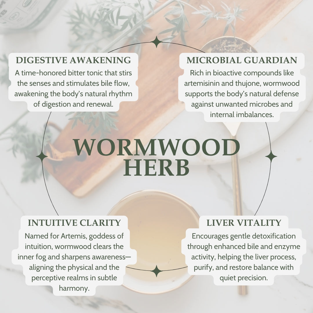 Wormwood herb with text describing its benefits on a light background