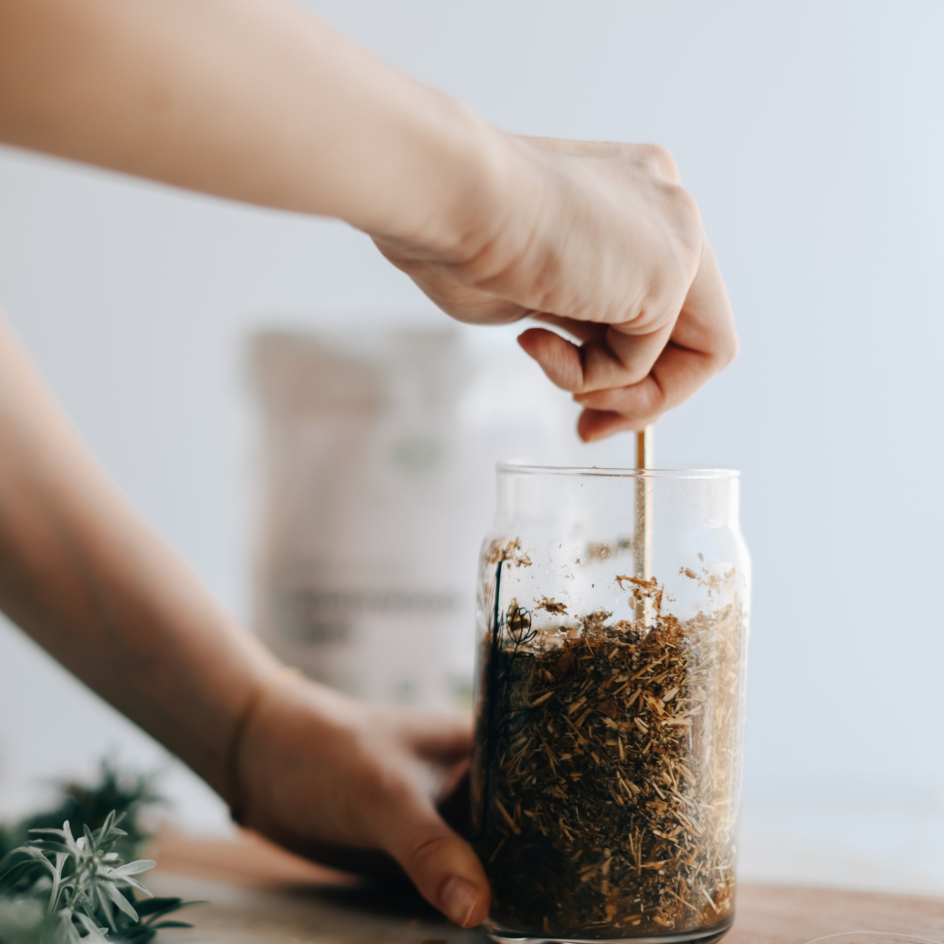 Person adding dried wormwood into a glass jar on a blurred background