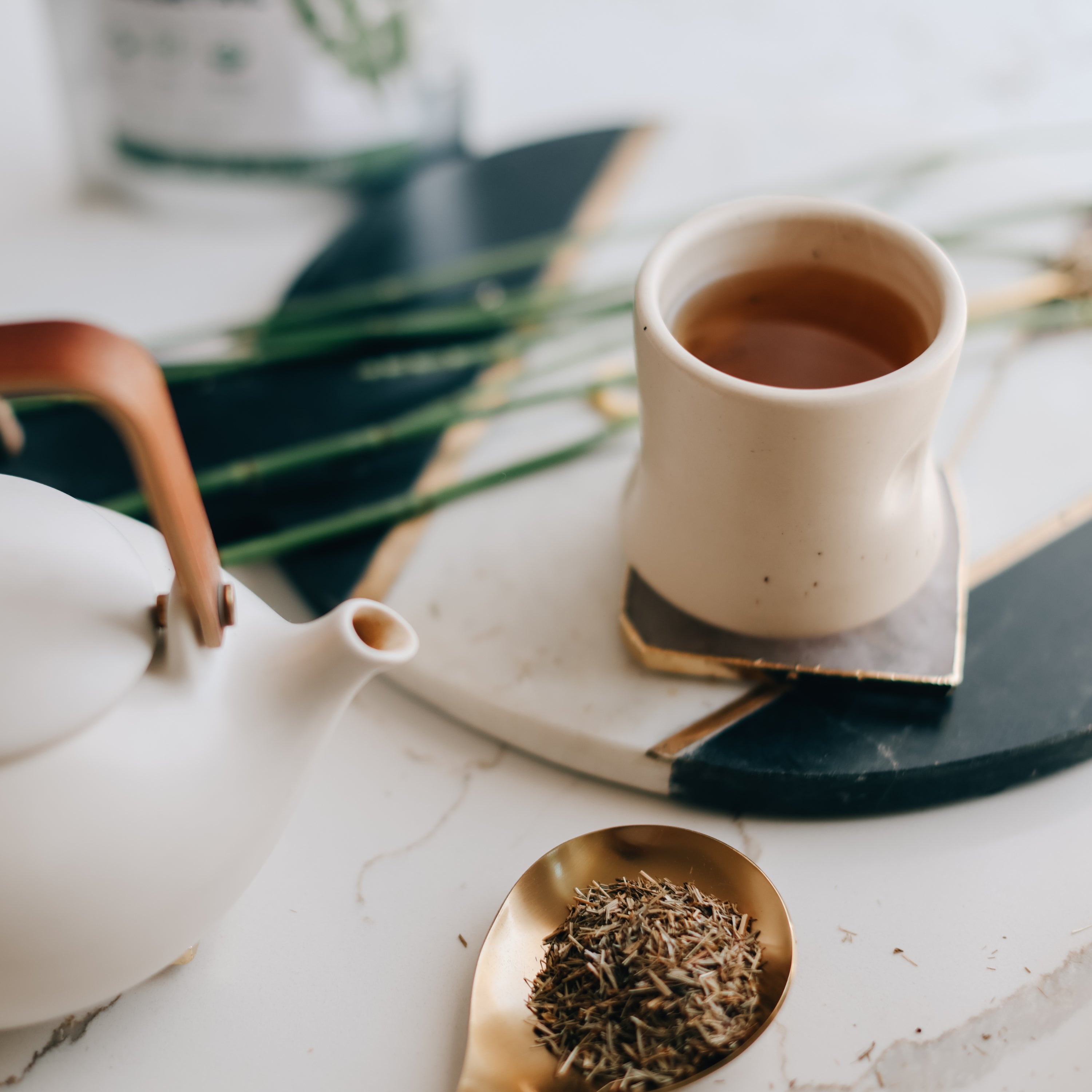 Tea cup, teapot, and horsetail leaves on a marble surface with plants in the background